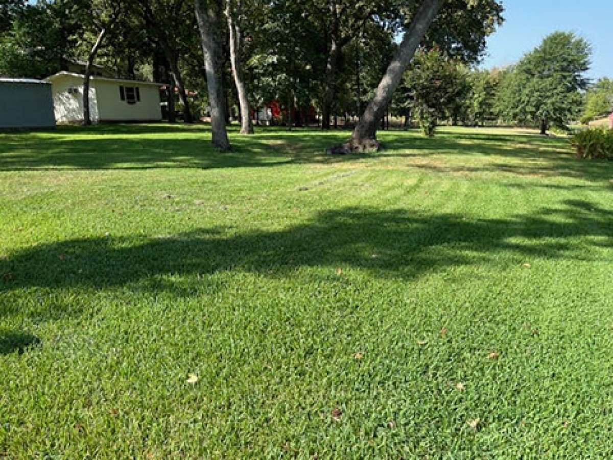 Mowing the yard
