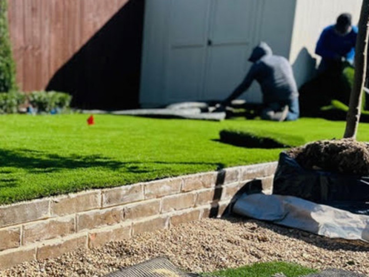 Lawn Treatment
