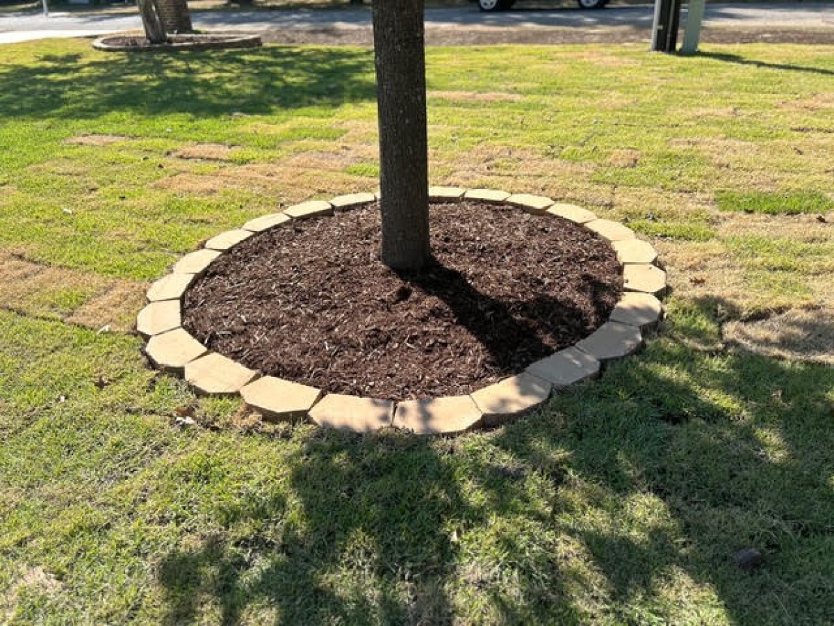 Tree Trimmer